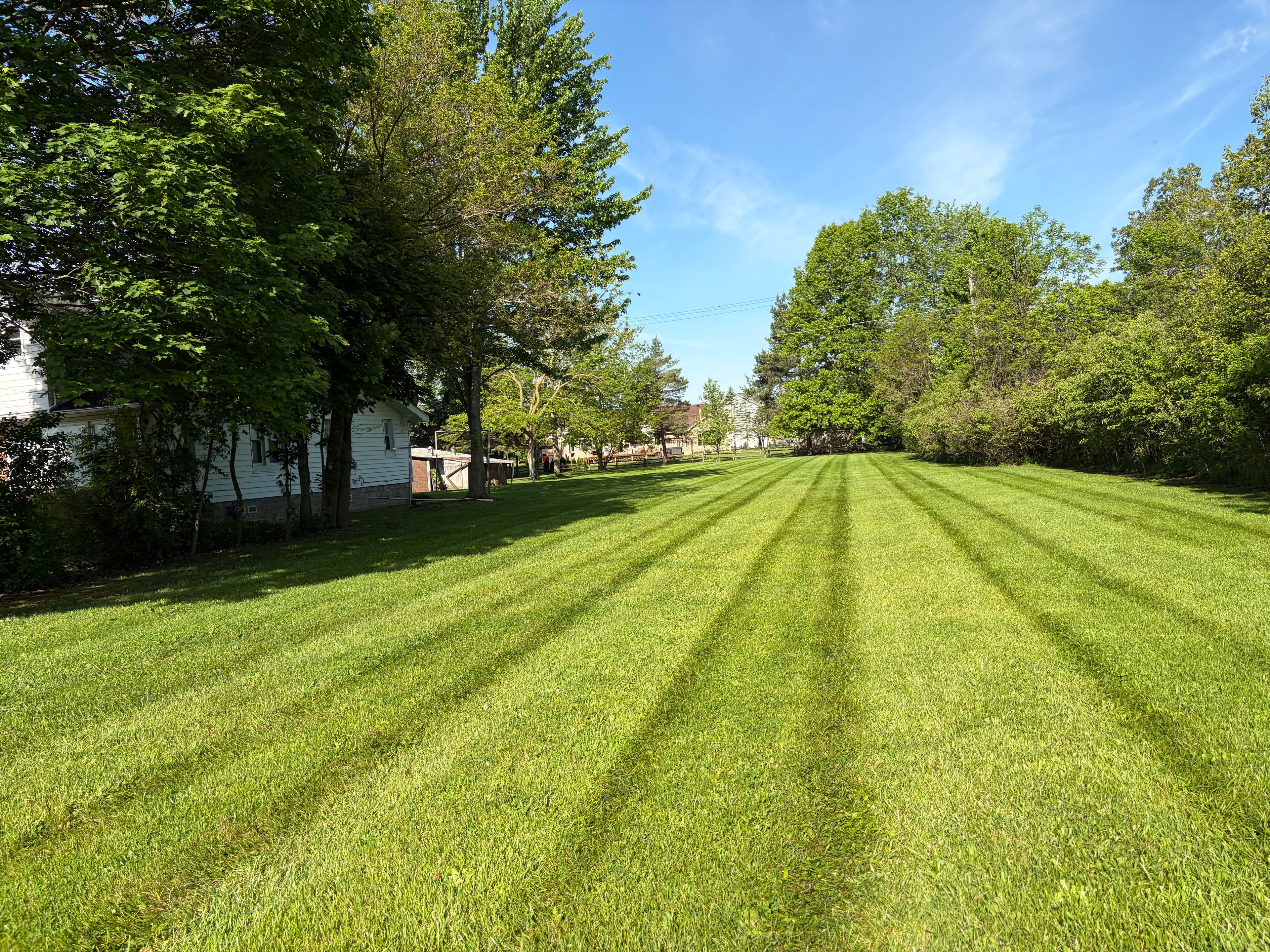 Project Now Taking Lawn Care Clients in Huron, Flat Rock, Monroe, and Carleton image