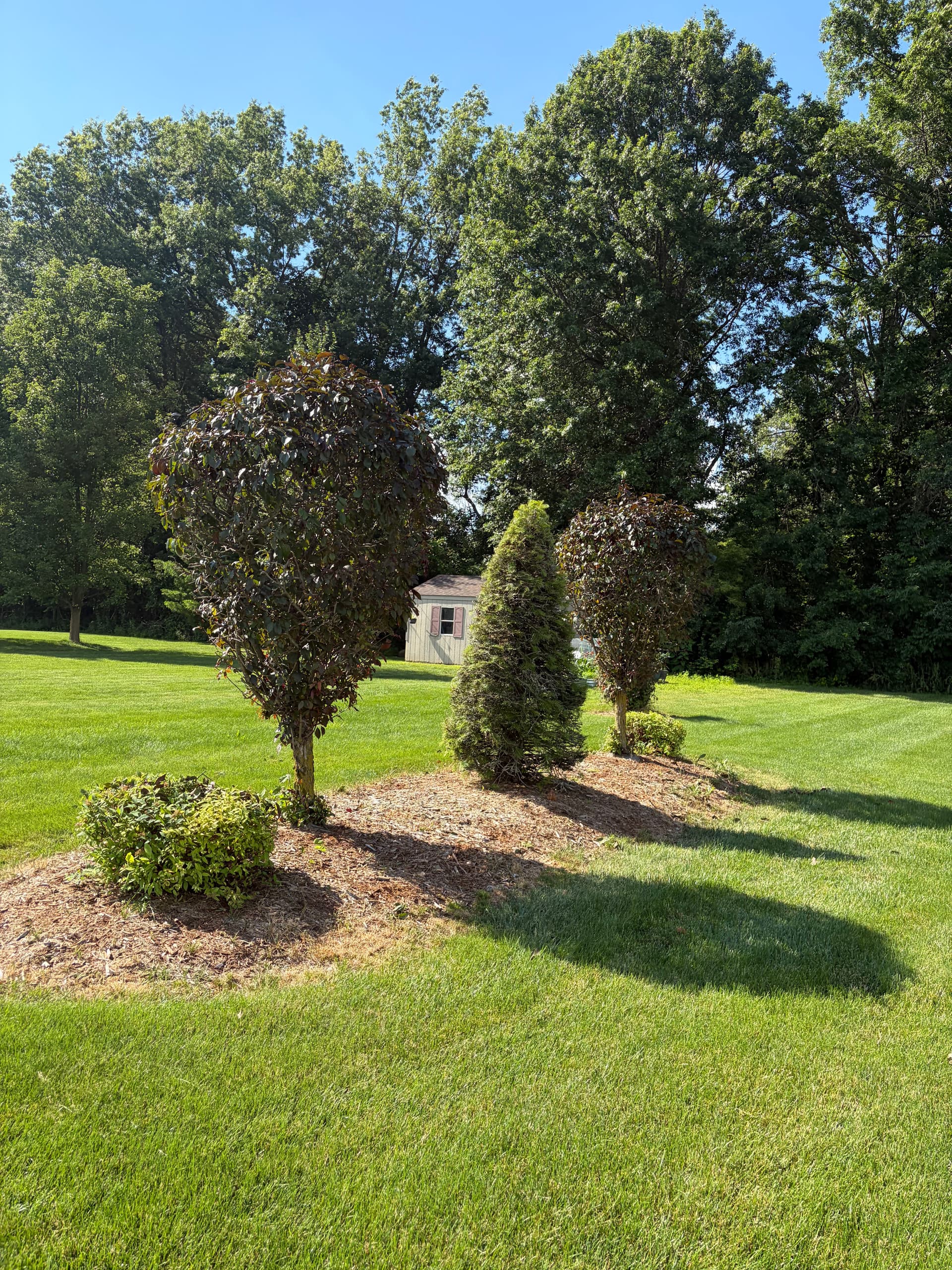 Gallery photos for Tree and Bush Trimming Done Right in New Boston: Image #2