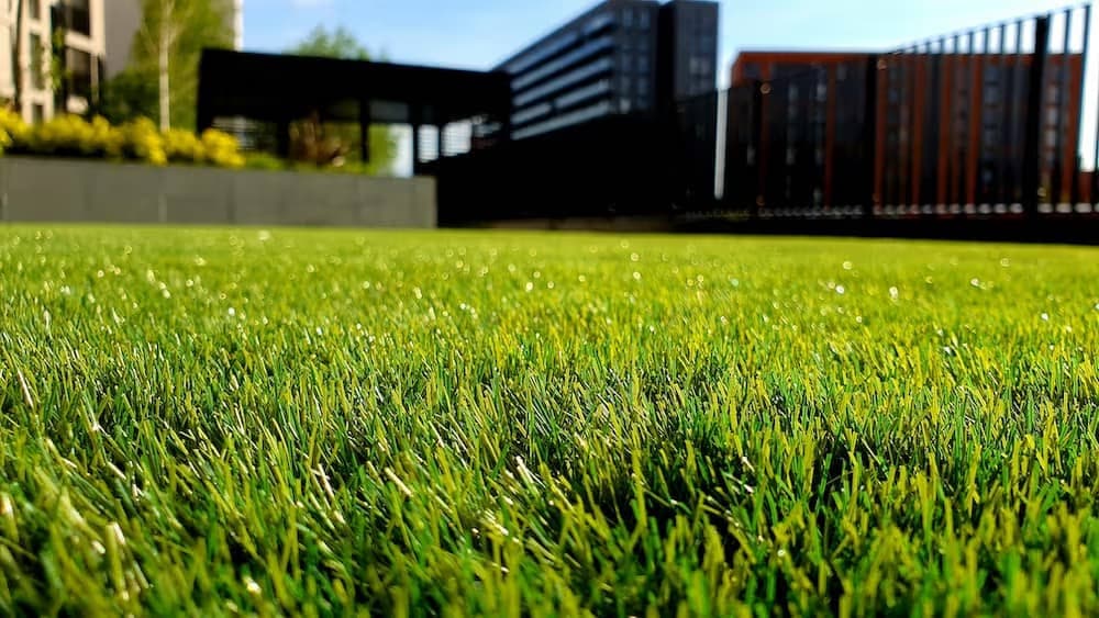 Weekly Mowing image